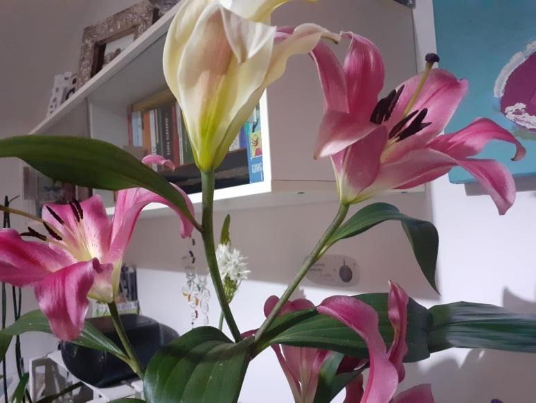 Frühstückspension Ritorno A Casa